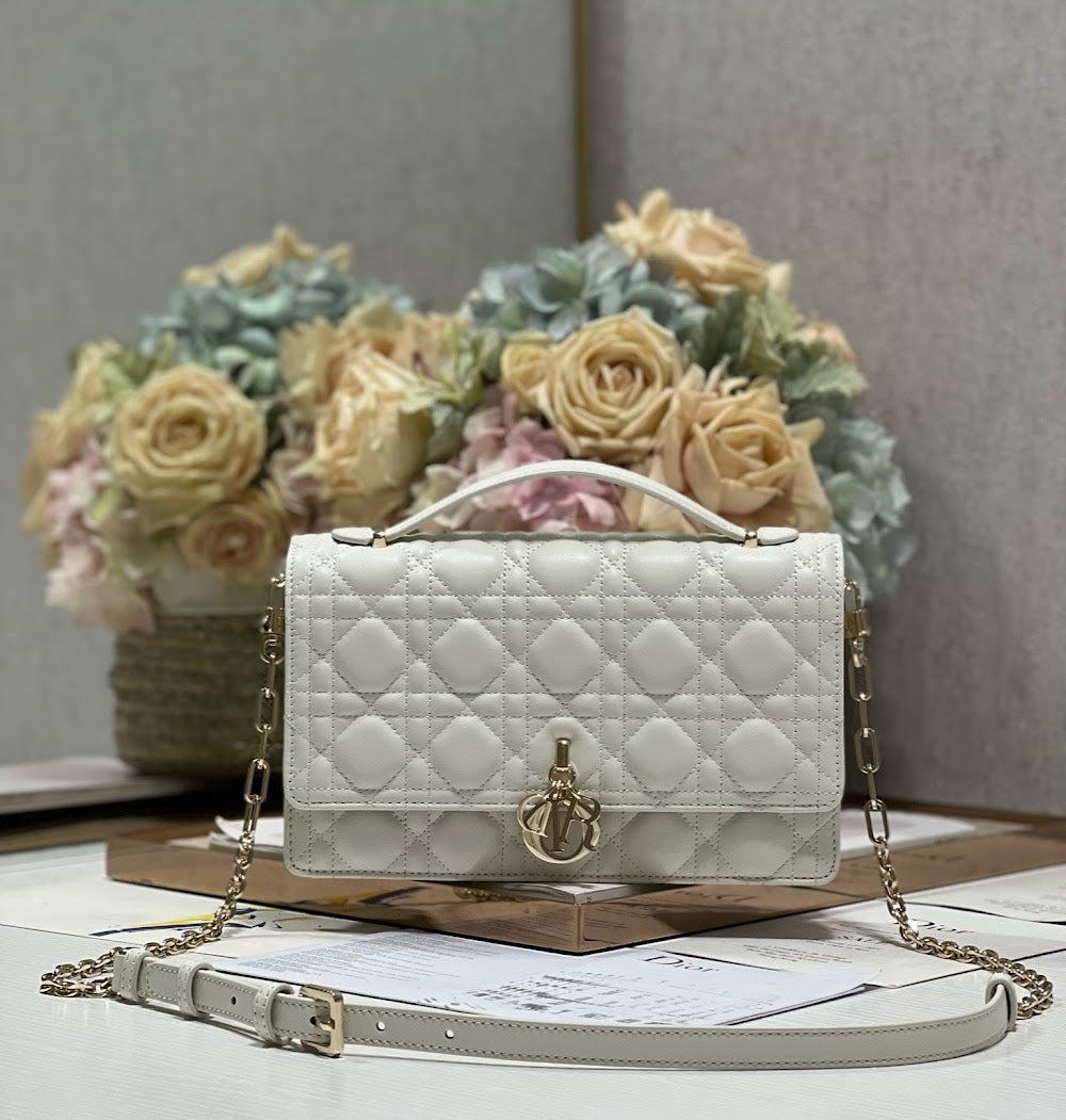 new-designer-premium-bags-nm16148
