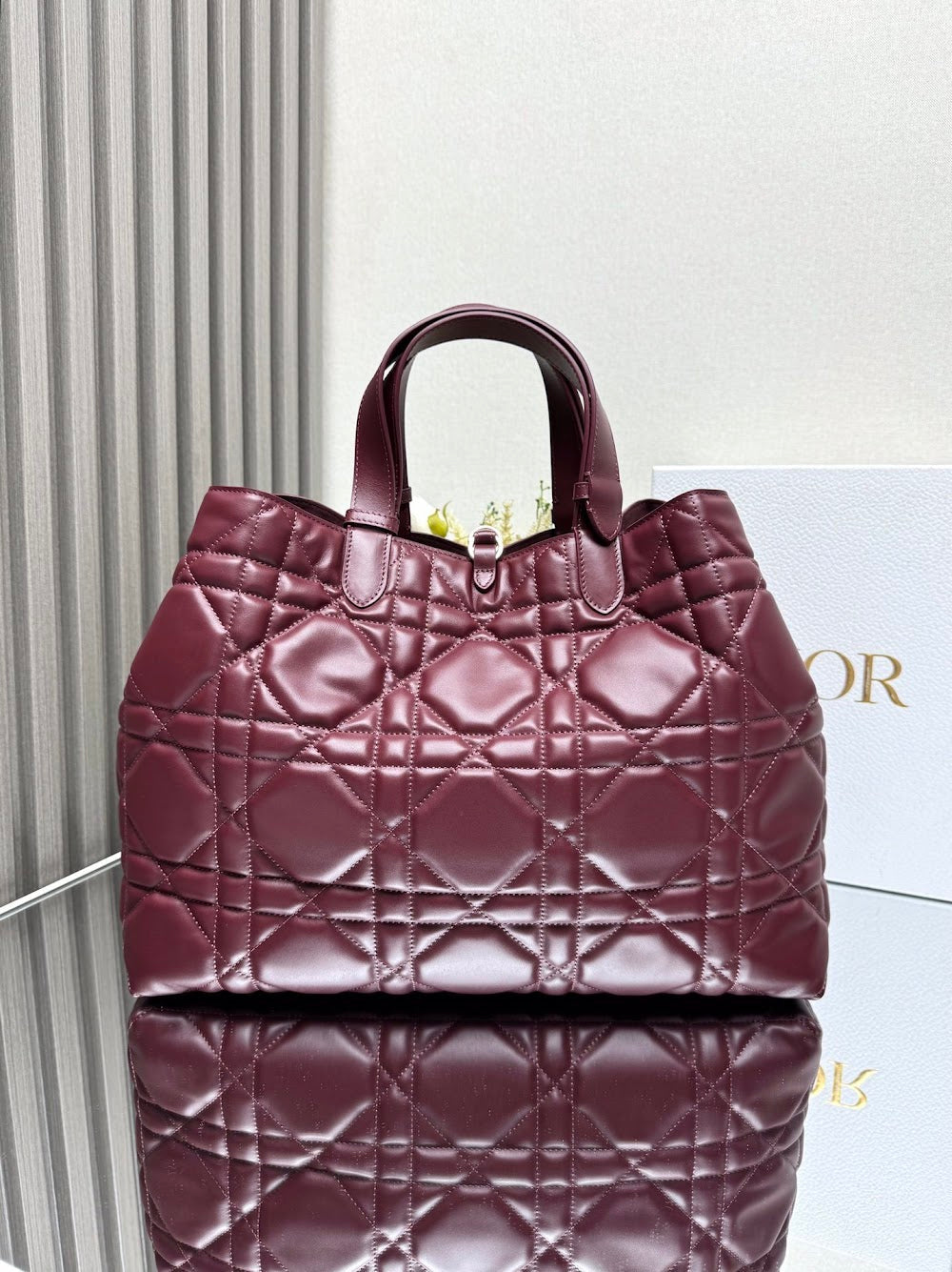 Ezyycart Bags Diorn Luxury Bag --116407