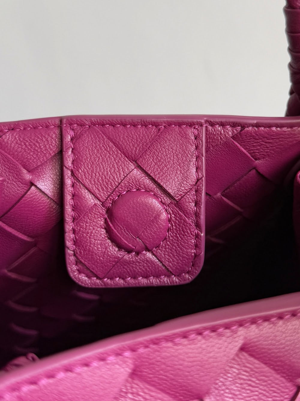 Ezyycart Bags Bottegan Luxury Bag --91112