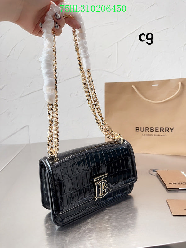 Ezyycart Bags Fan Fashion -MV - Top quality BBR Bags - 208