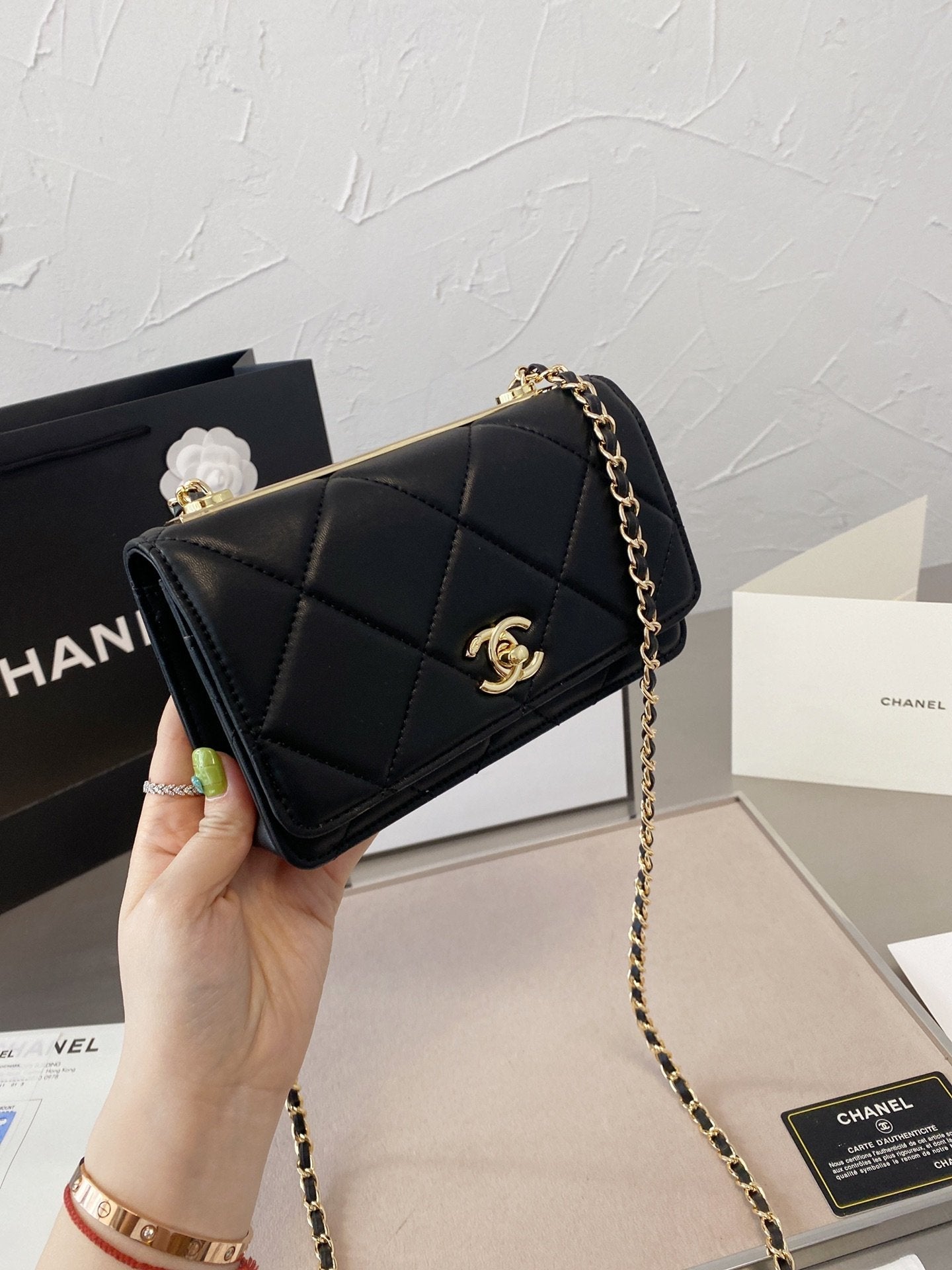Anum Bags Bags CHL 054