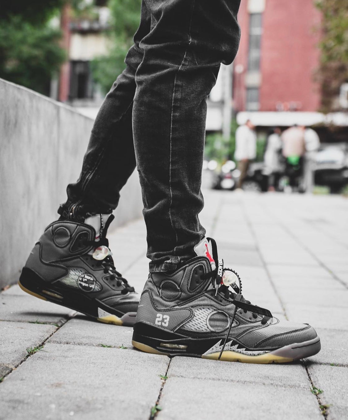 Ezyycart Bags AJ5 Black Cicada Wing