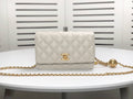 Anum Bags Bags CHL 078
