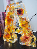 ResinBloom Blüten-Resin-Nachtlicht