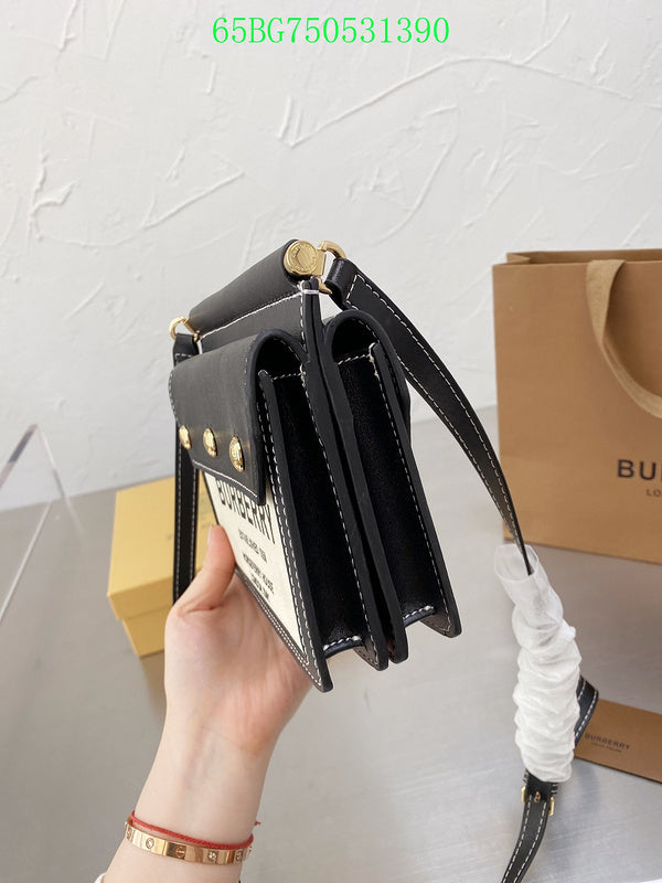 Ezyycart Bags Fan Fashion -MV - Top quality BBR Bags - 499