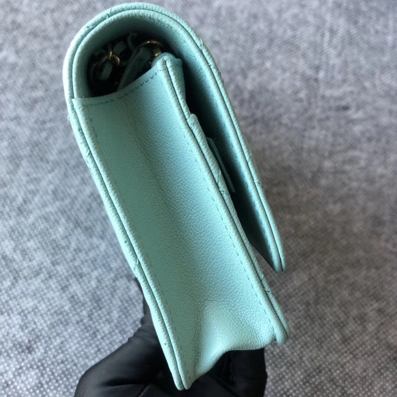 Anum Bags mv - CHL Bags - 702
