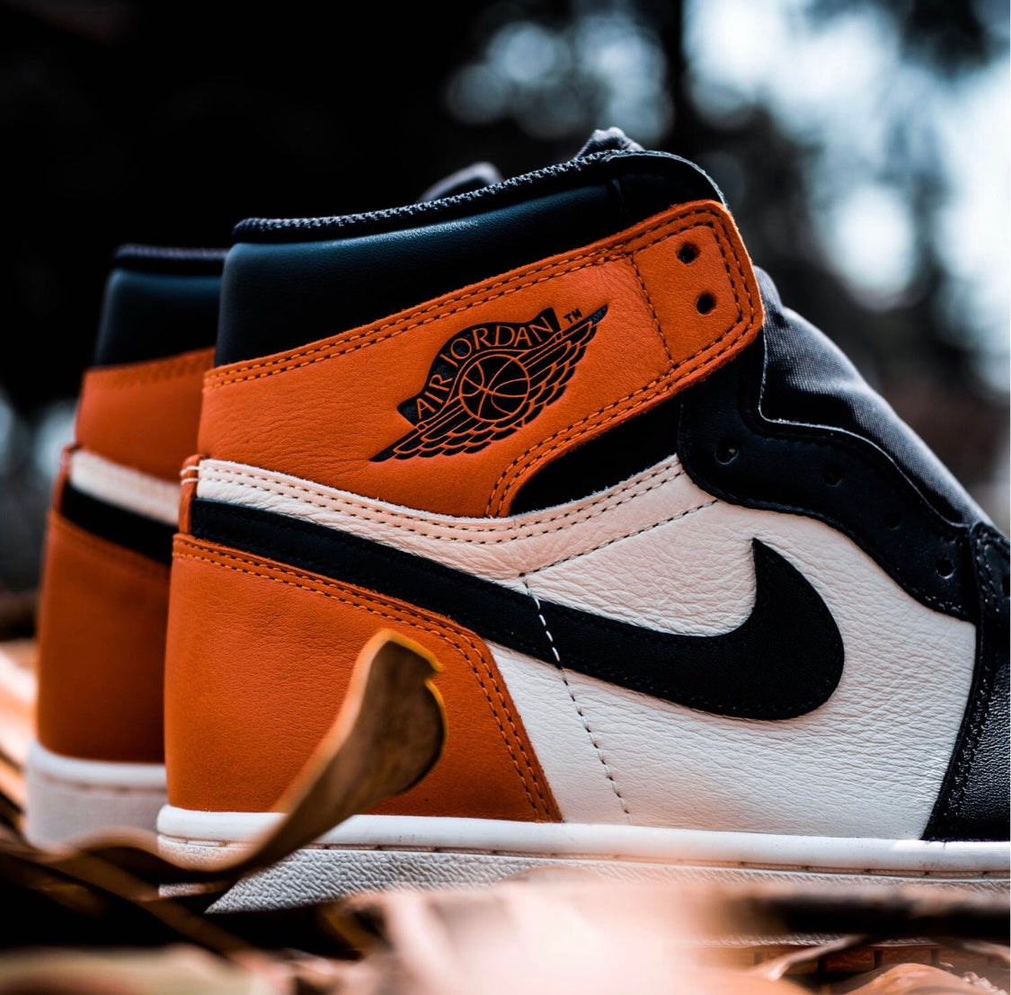 Ezyycart Bags AJ1 black buckle