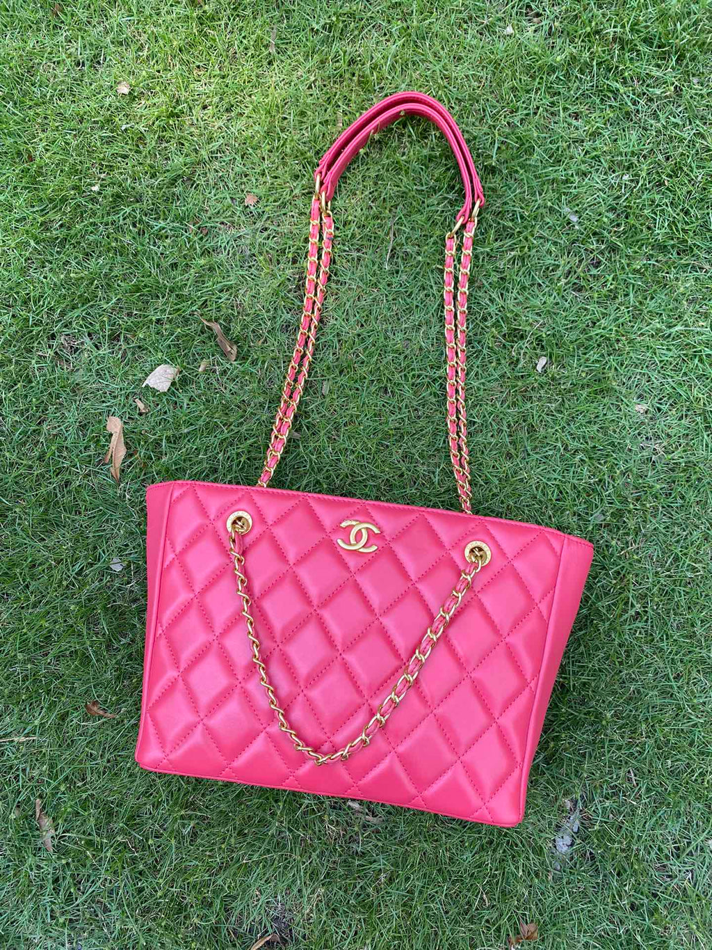 Anum Bags Mo - Bag CHL 433
