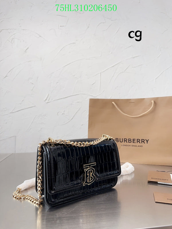 Ezyycart Bags Fan Fashion -MV - Top quality BBR Bags - 208