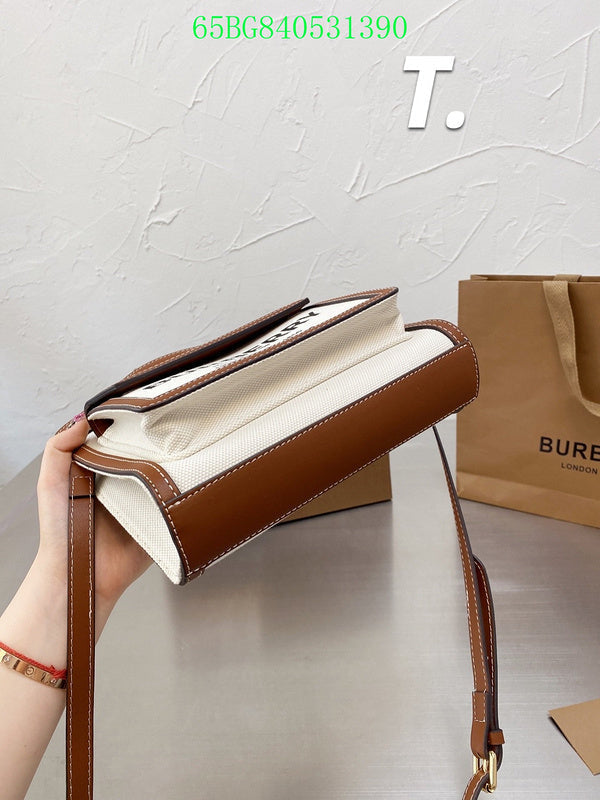 Ezyycart Bags Fan Fashion -MV - Top quality BBR Bags - 500