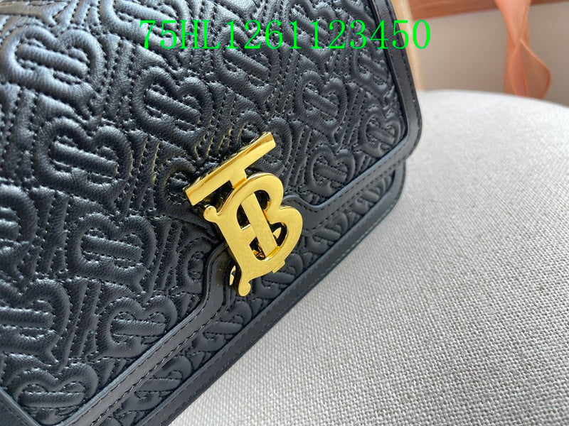 Ezyycart Bags Fan Fashion -MV - Top quality BBR Bags - 347