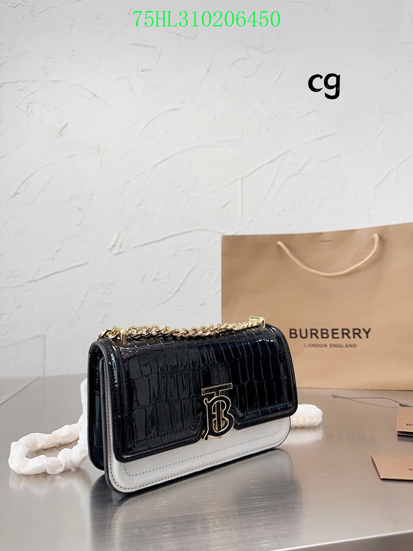 Ezyycart Bags Fan Fashion -MV - Top quality BBR Bags - 208