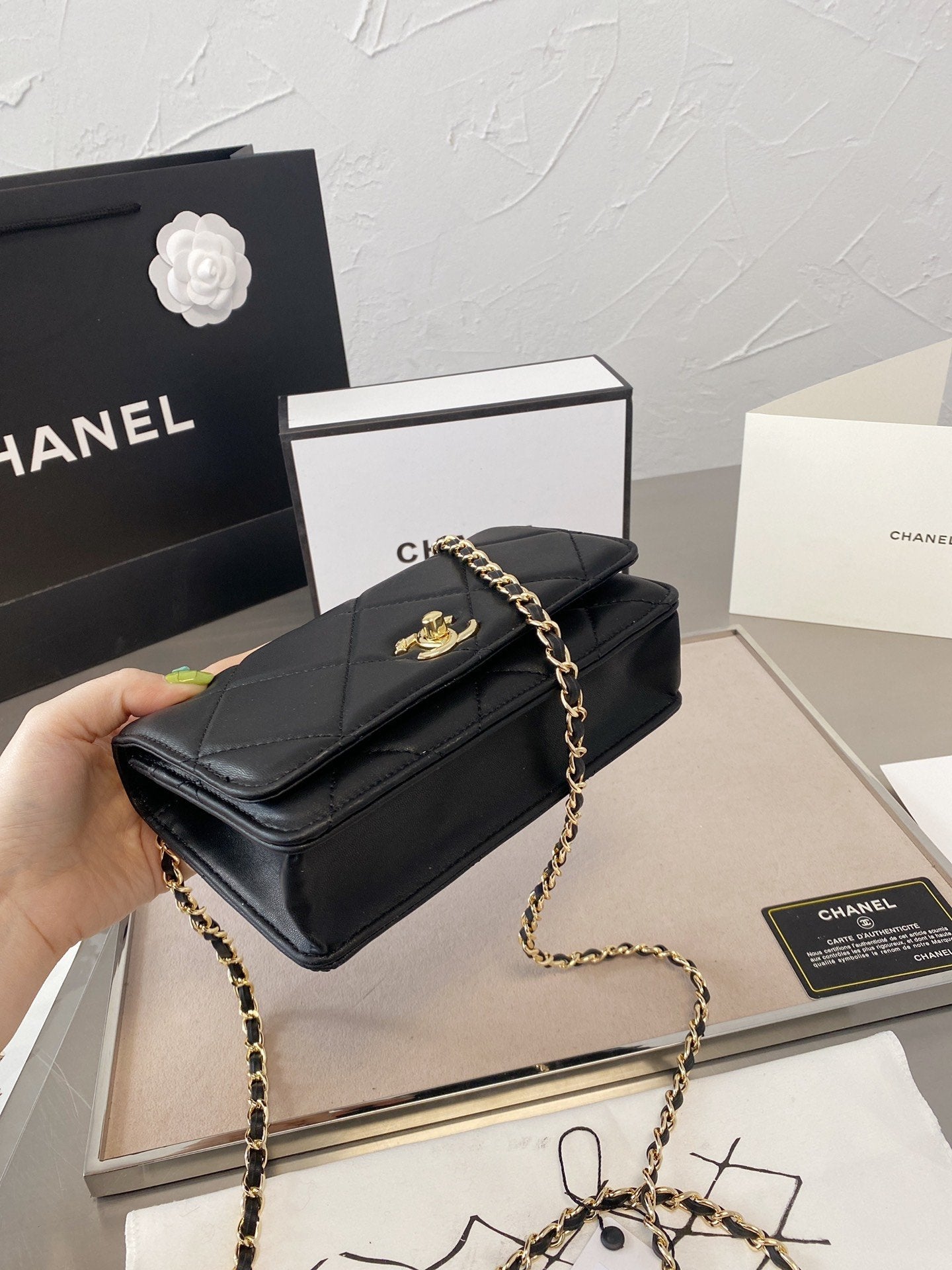 Anum Bags Bags CHL 054