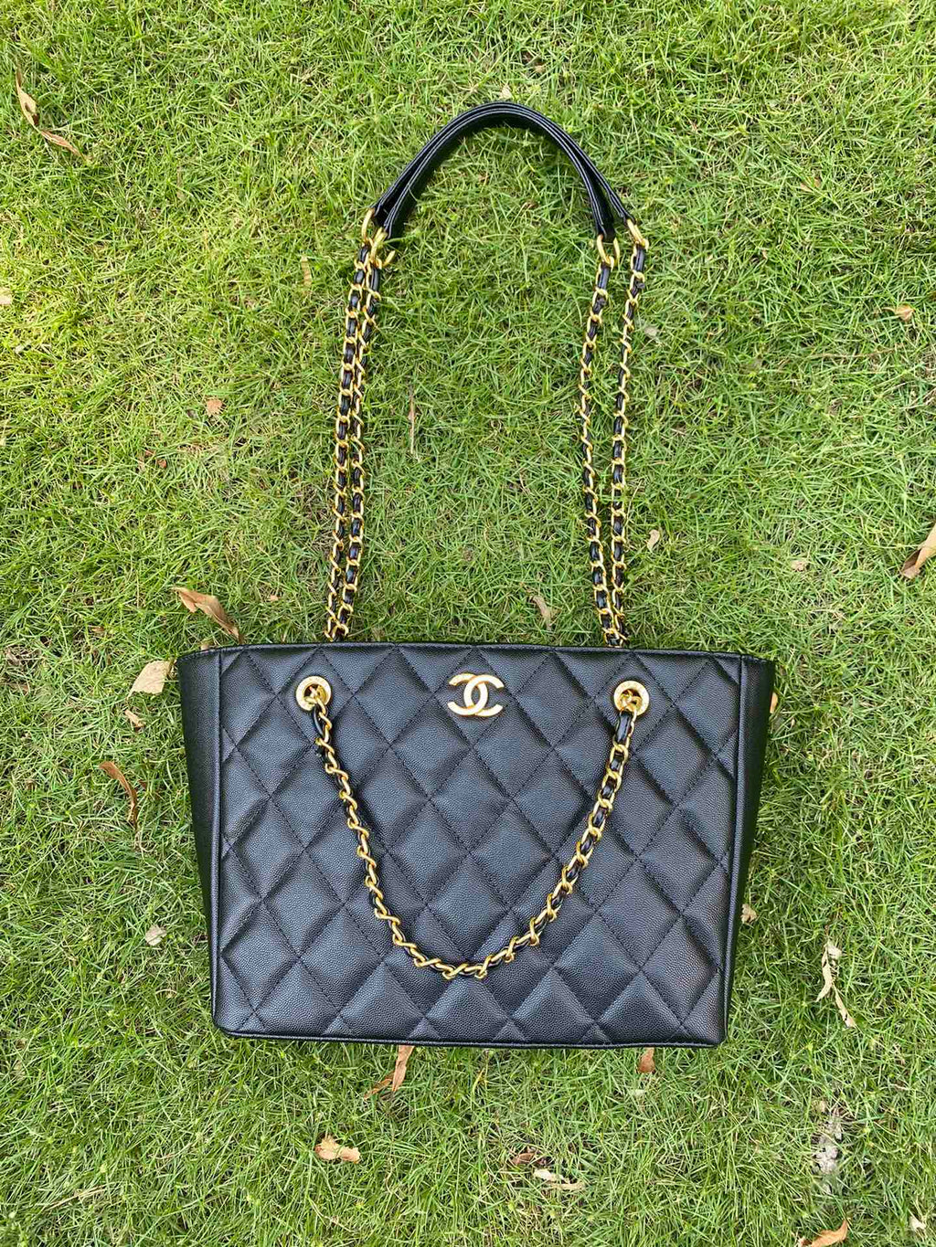 Anum Bags Mo - Bag CHL 434