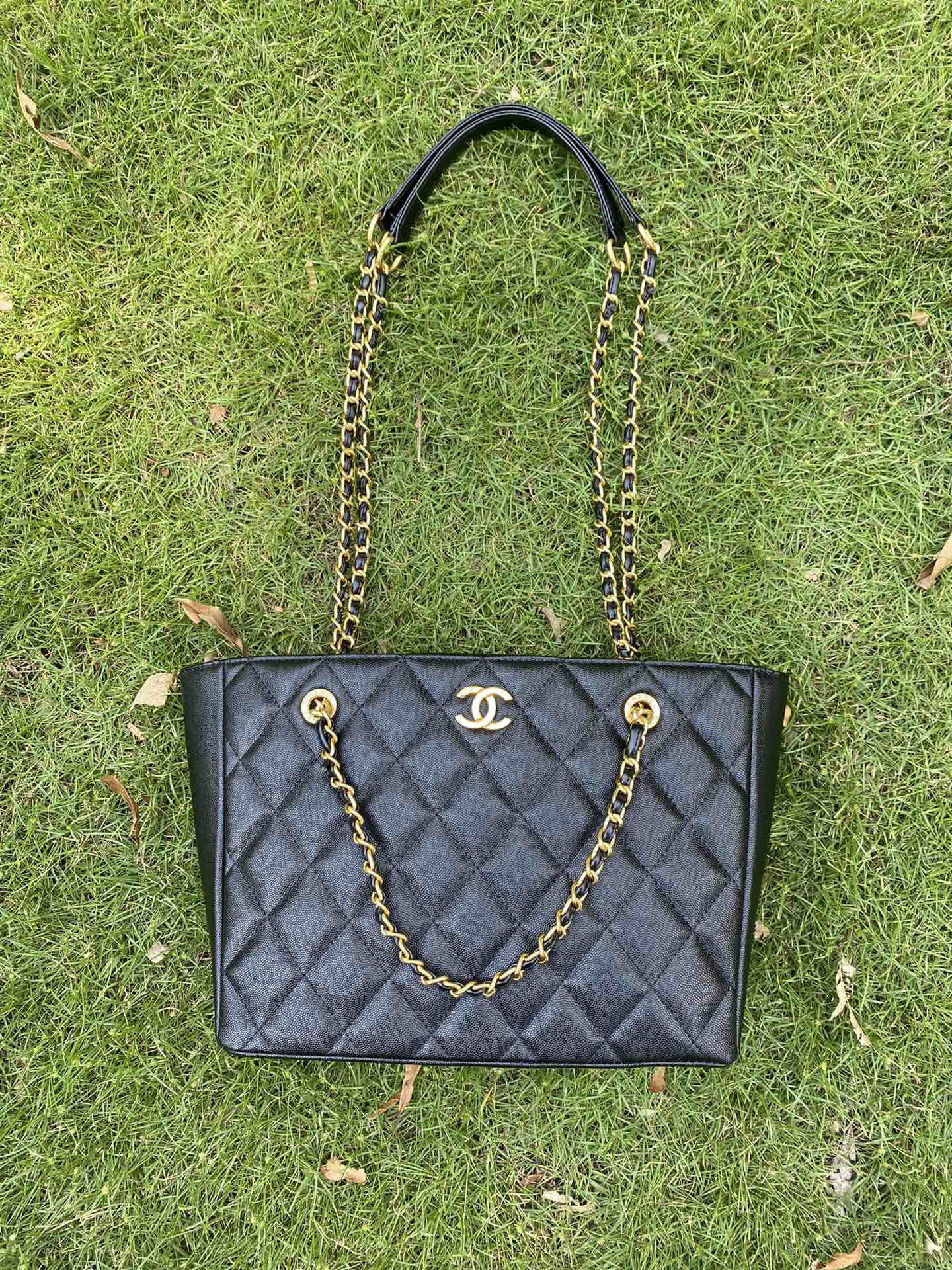 Anum Bags Mo - Bag CHL 434
