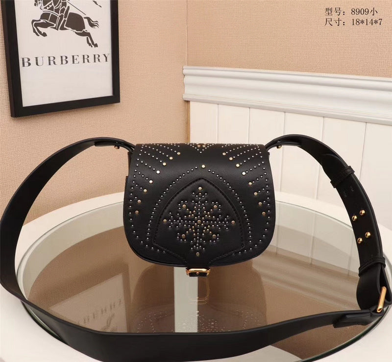 Ezyycart Bags Fan Fashion -MV - Top quality BBR Bags - 1064