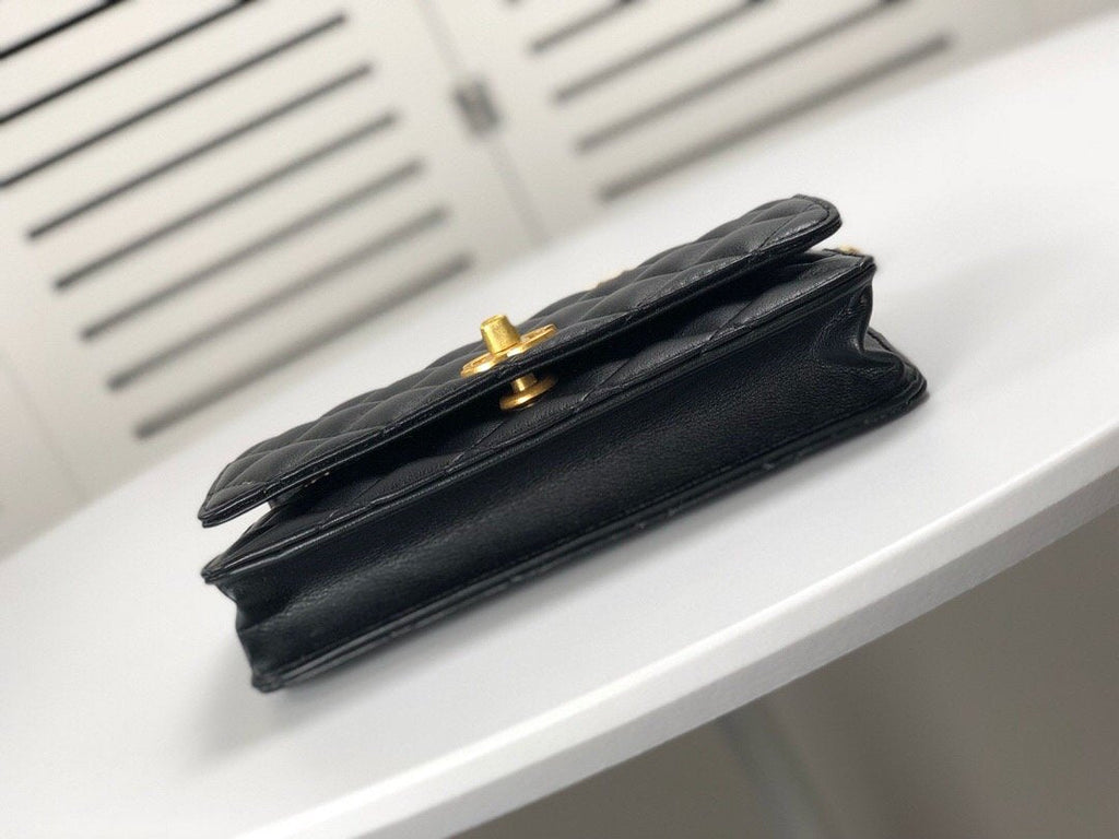 Anum Bags Bags CHL 081