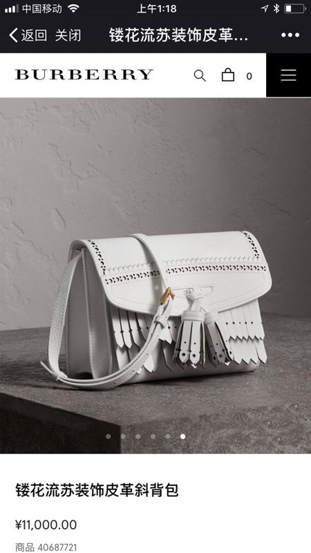Ezyycart Bags Fan Fashion -MV - Top quality BBR Bags - 1163