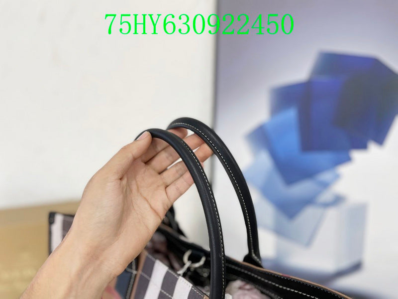 Ezyycart Bags Fan Fashion -MV - Top quality BBR Bags - 281