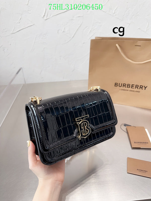 Ezyycart Bags Fan Fashion -MV - Top quality BBR Bags - 208