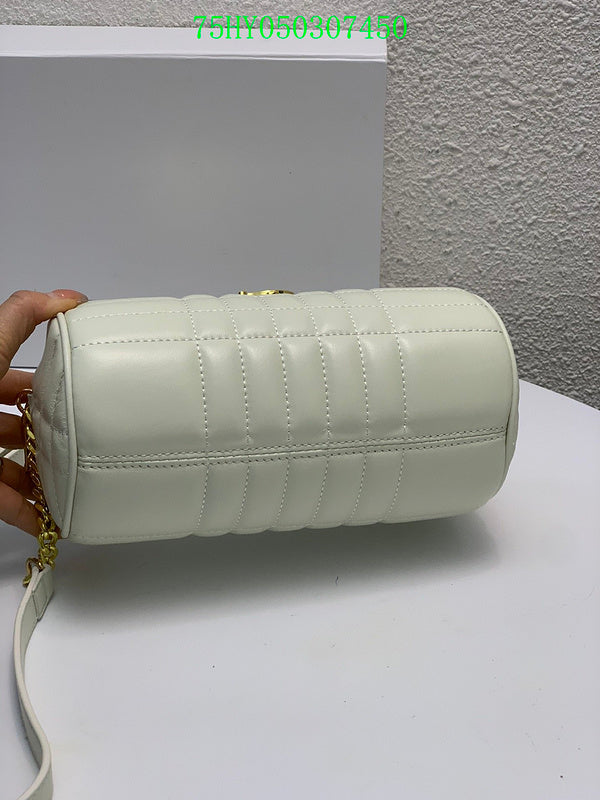 Ezyycart Bags Fan Fashion -MV - Top quality BBR Bags - 325