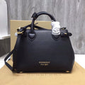 Ezyycart Bags Fan Fashion -MV - Top quality BBR Bags - 1261