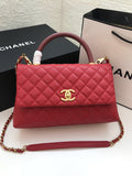 Anum Bags mv - CHL Bags - 501