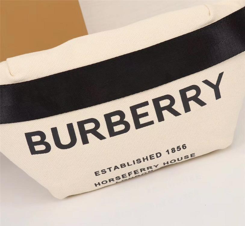 Ezyycart Bags Bags BBR 033