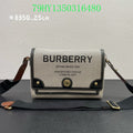 Ezyycart Bags Fan Fashion -MV - Top quality BBR Bags - 132