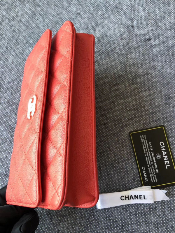 Anum Bags mv - CHL Bags - 700