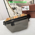 Ezyycart Bags Fan Fashion -MV - Top quality BBR Bags - 179