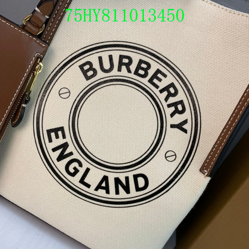 Ezyycart Bags Fan Fashion -MV - Top quality BBR Bags - 398