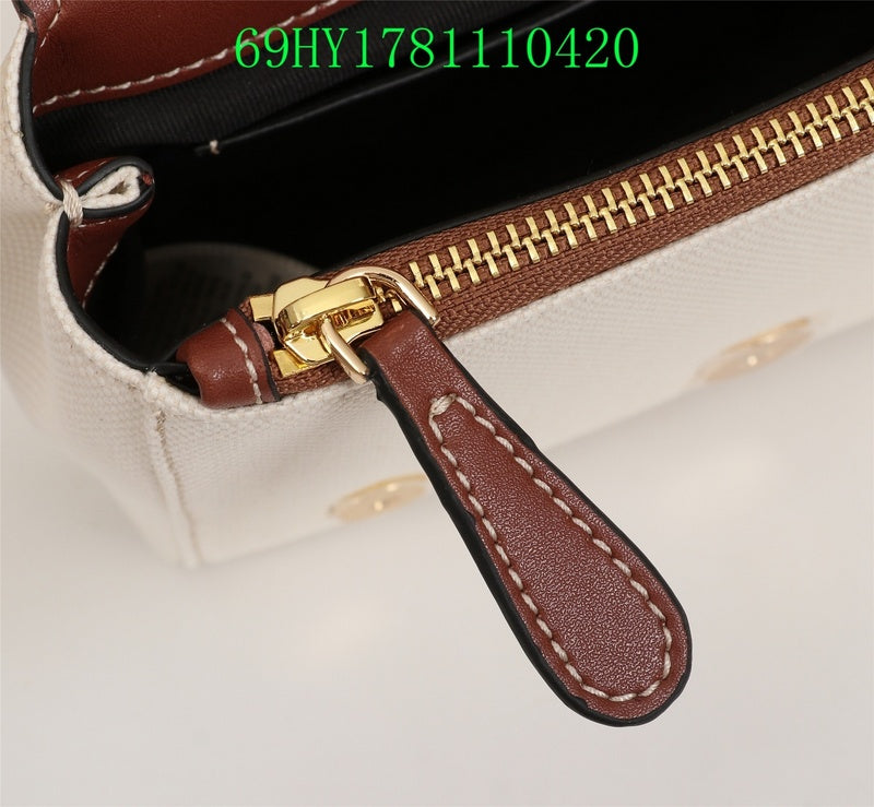 Ezyycart Bags Fan Fashion -MV - Top quality BBR Bags - 240