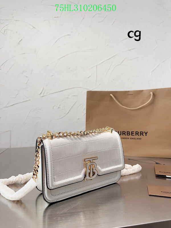 Ezyycart Bags Fan Fashion -MV - Top quality BBR Bags - 208