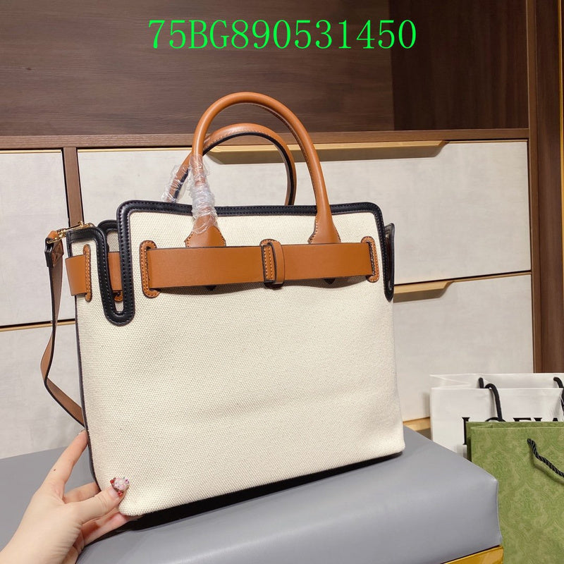 Ezyycart Bags Fan Fashion -MV - Top quality BBR Bags - 473