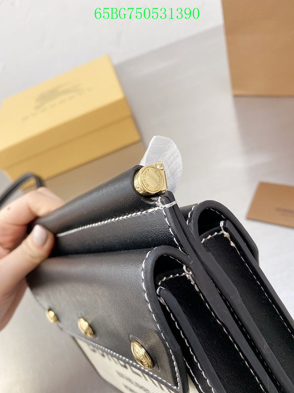 Ezyycart Bags Fan Fashion -MV - Top quality BBR Bags - 499