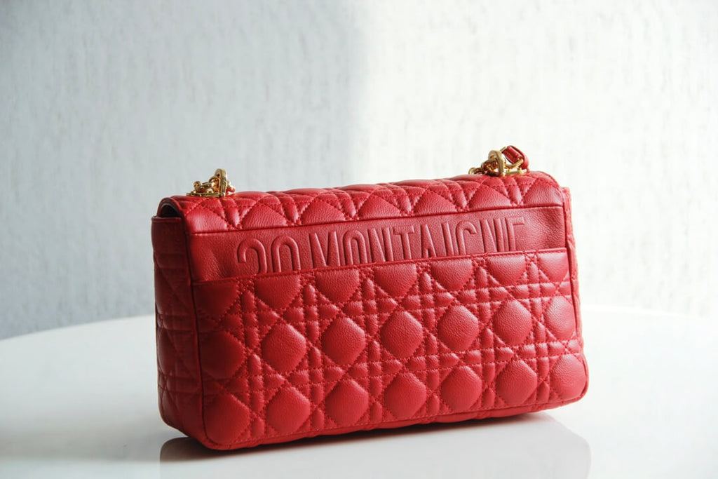 Ezyycart Bags DIR 2023 Caro red real leather sling shoulder bag