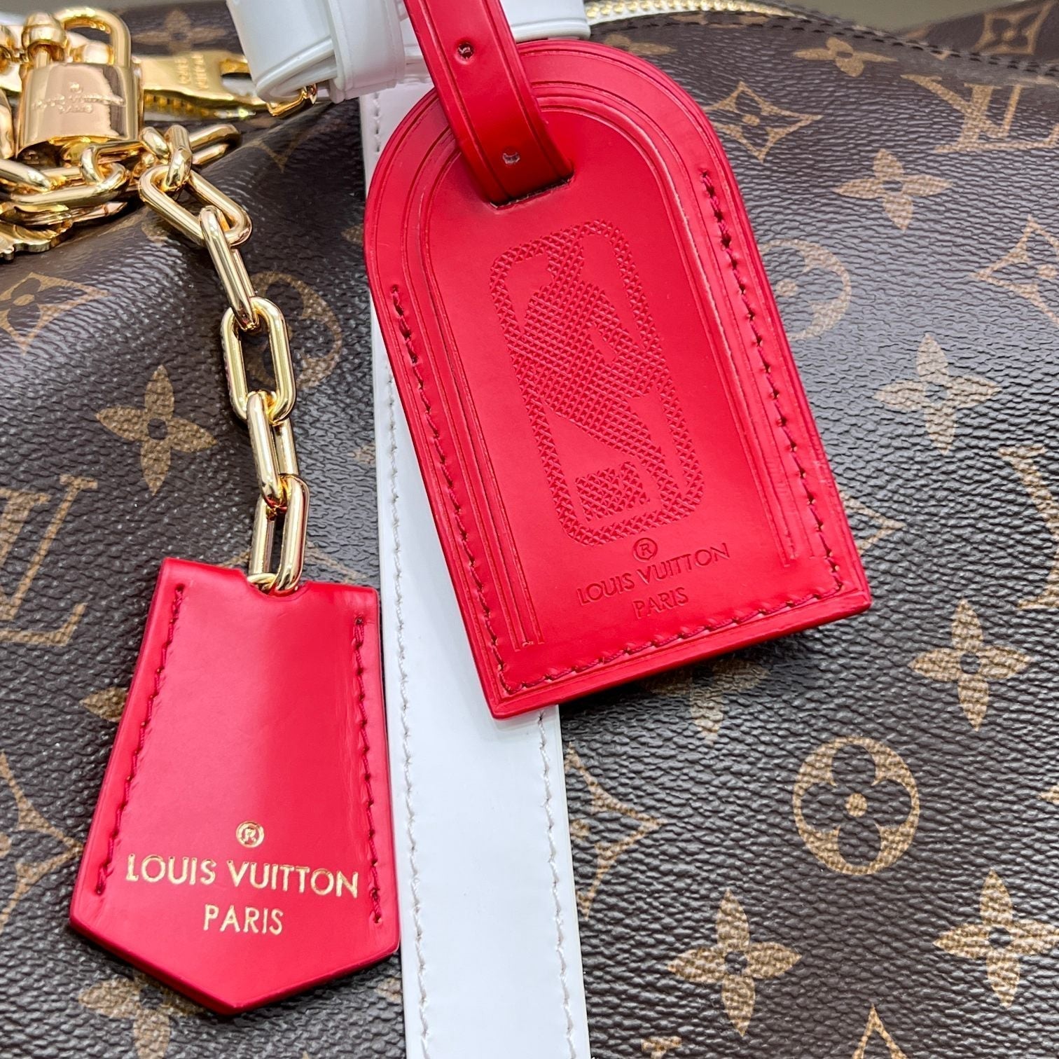 Anum Bags Elite Carryalls