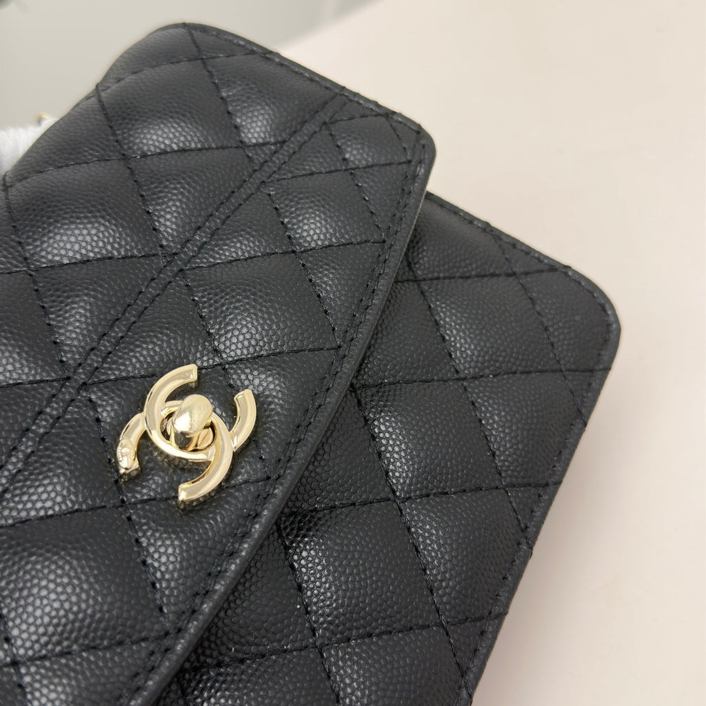 Anum Bags Elite Carryalls