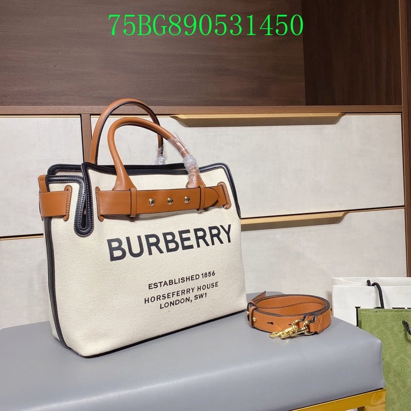 Ezyycart Bags Fan Fashion -MV - Top quality BBR Bags - 473