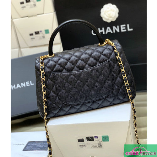 Anum Bags mv - CHL Bags - 293