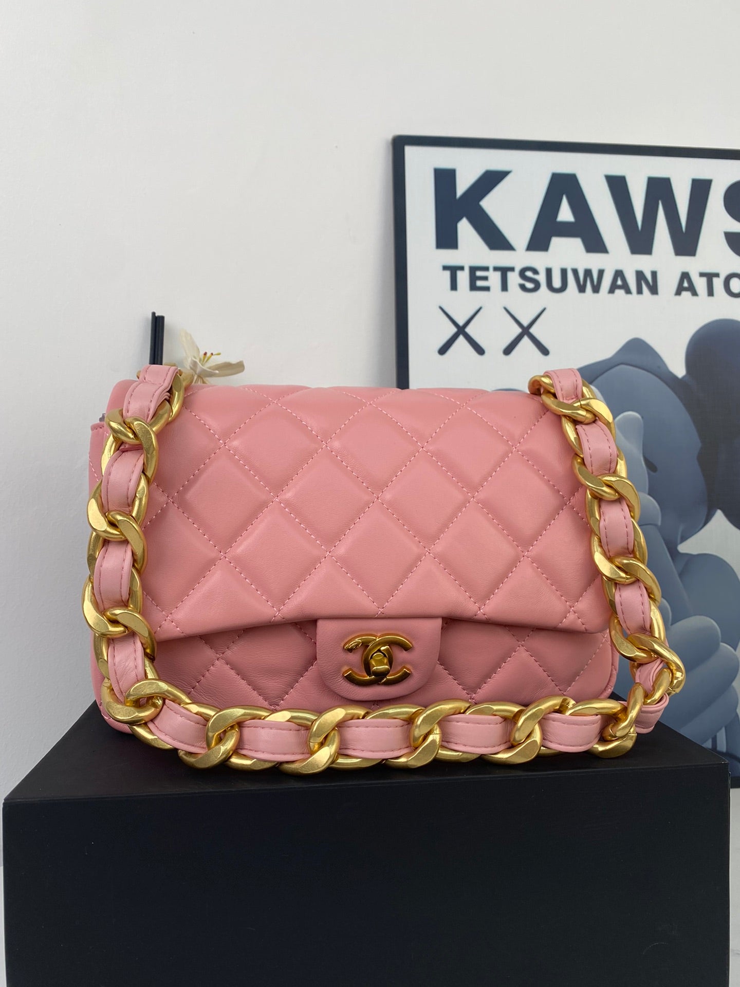 Anum Bags Mo - Bag CHL 417