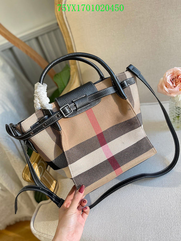 Ezyycart Bags Fan Fashion -MV - Top quality BBR Bags - 374