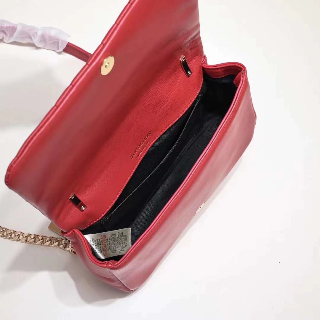 Ezyycart Bags Elite Carryalls