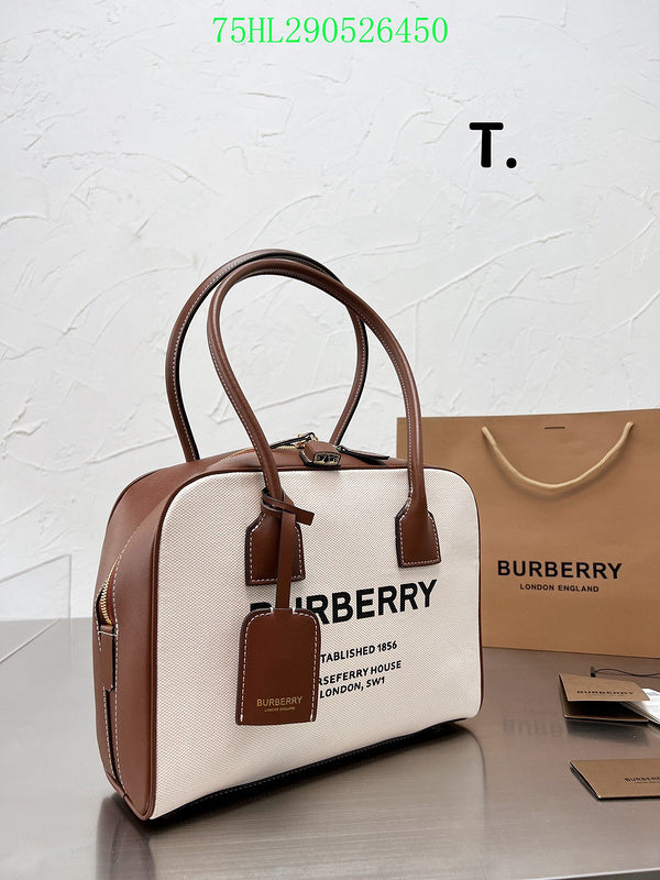Ezyycart Bags Fan Fashion -MV - Top quality BBR Bags - 288