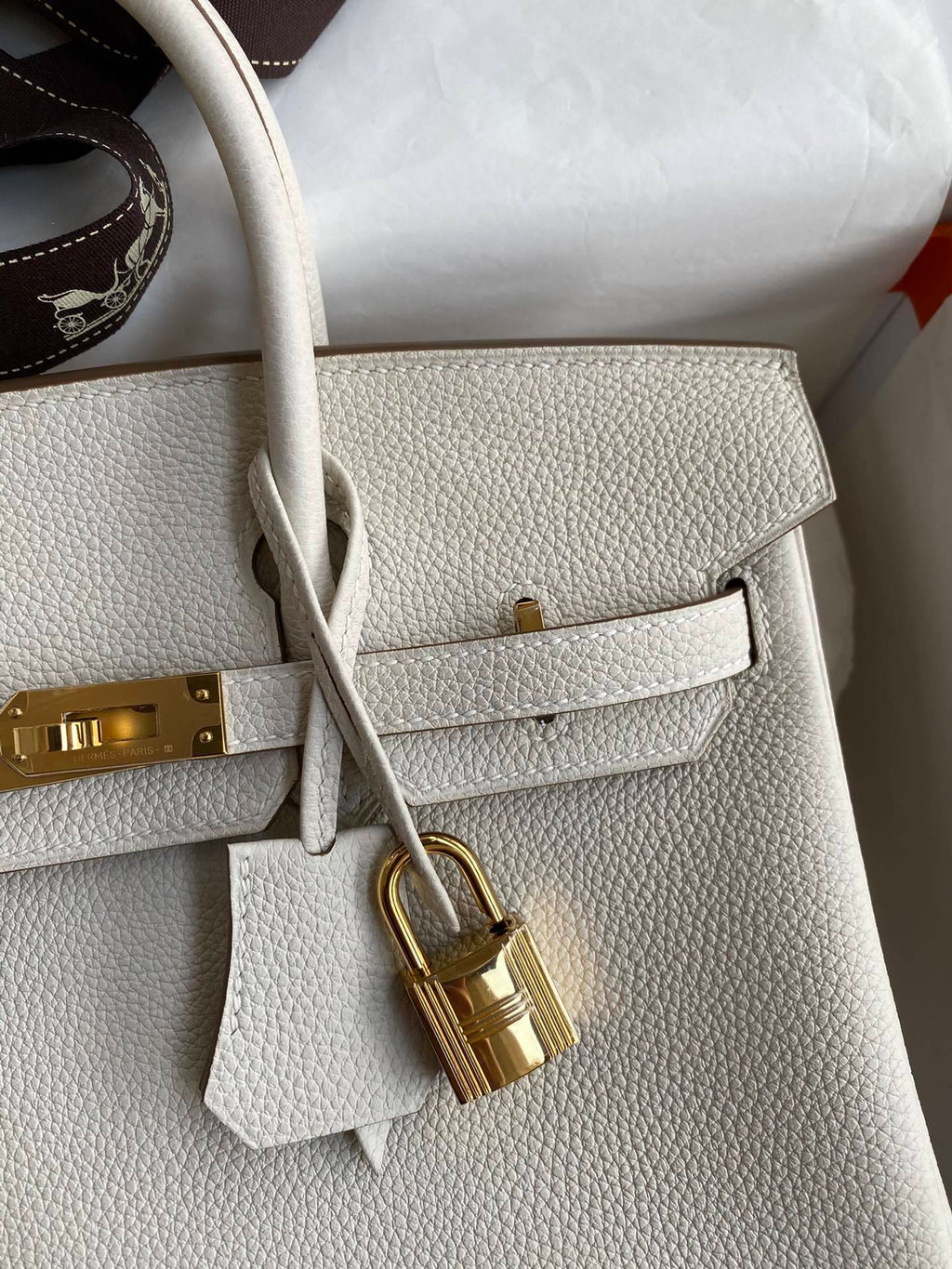 new-luxury-designer-bags-nm22981