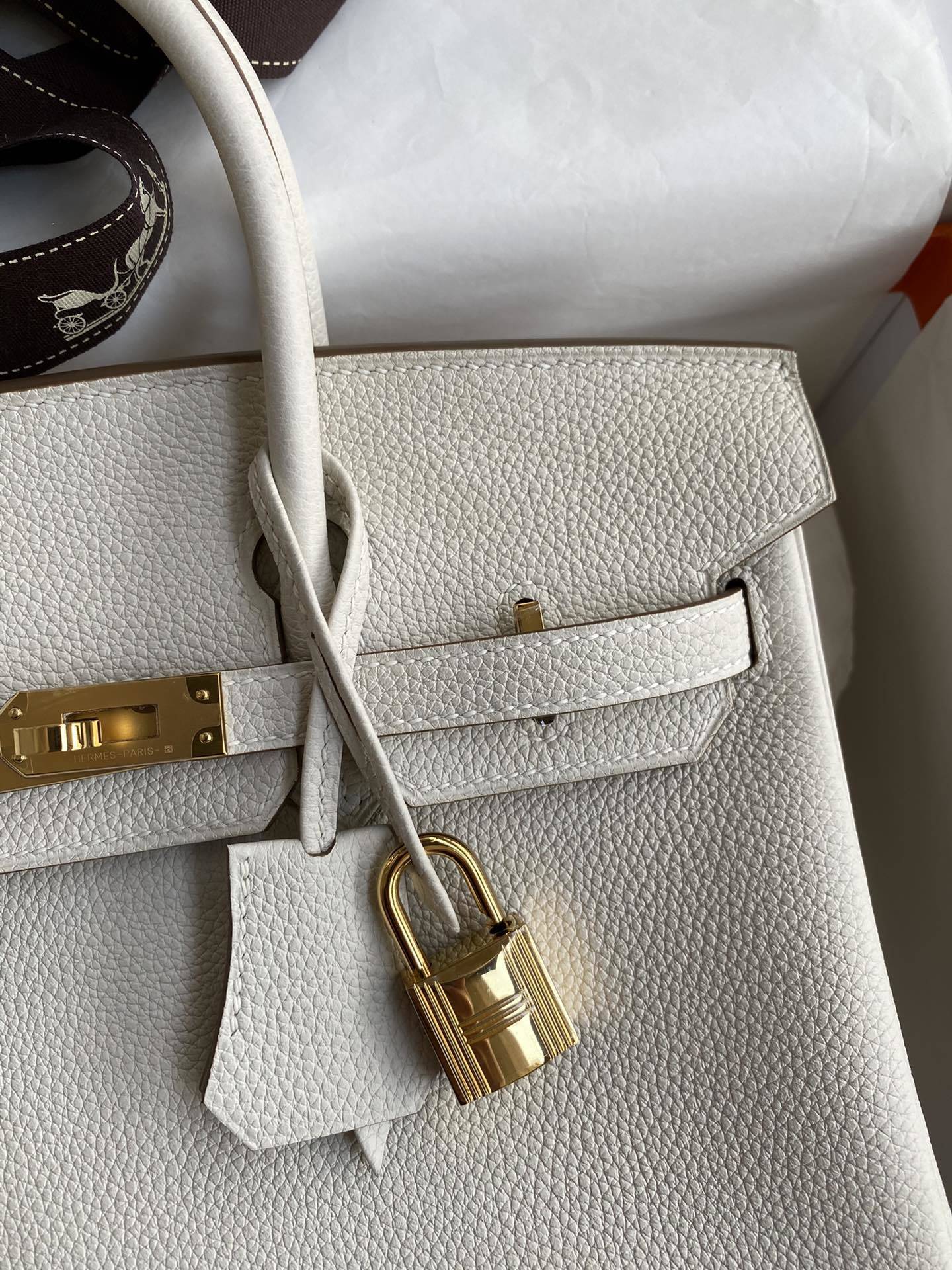 new-luxury-designer-bags-nm22981