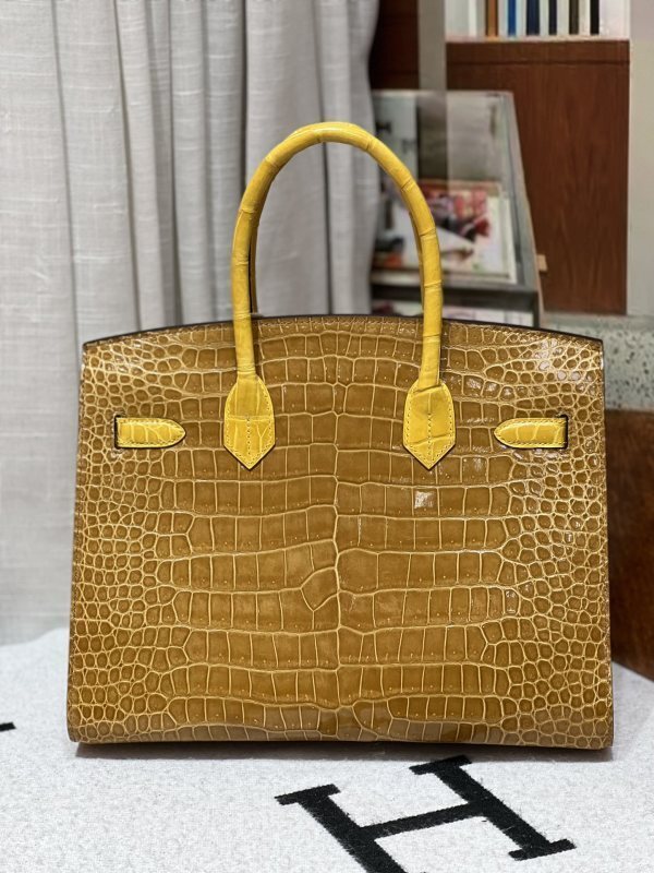 Anum Bags - DESIGNER BAGS FOR WOMEN - AFFORDABLE LUXURY BAGS - 20515