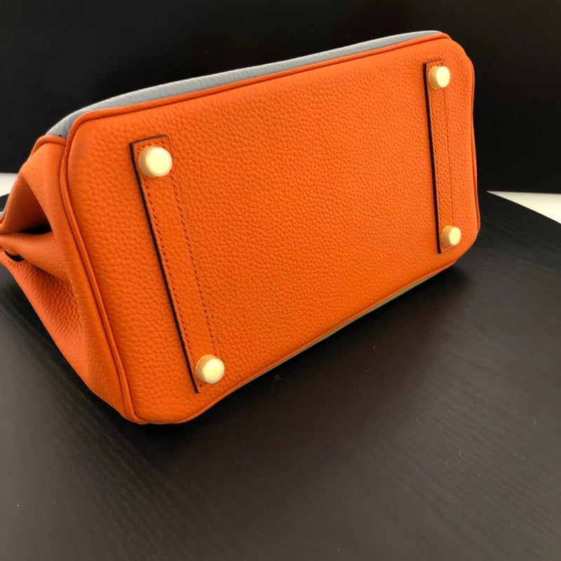 new-luxury-designer-bags-nm23528