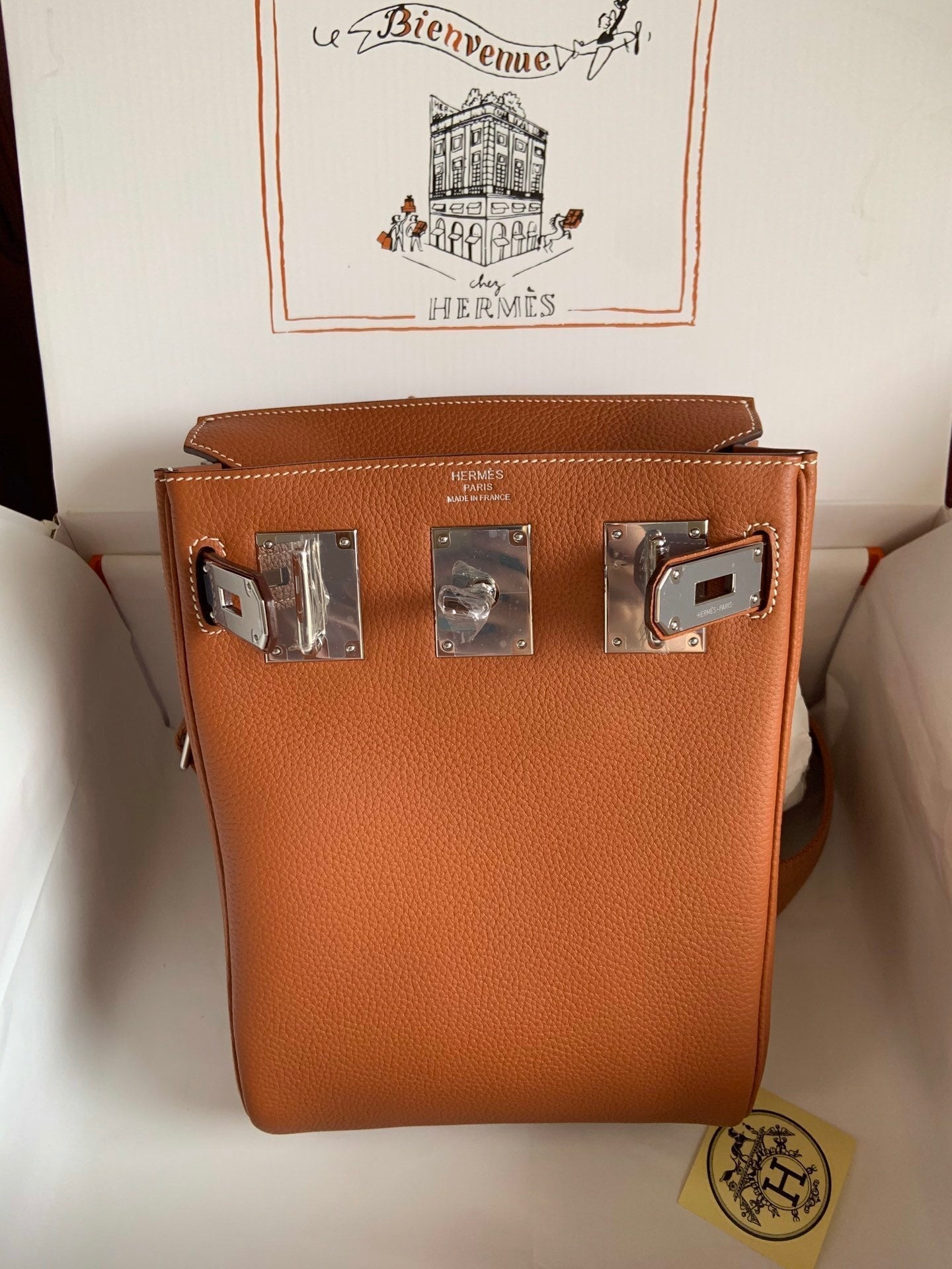 new-elite-designer-bags-nm23064